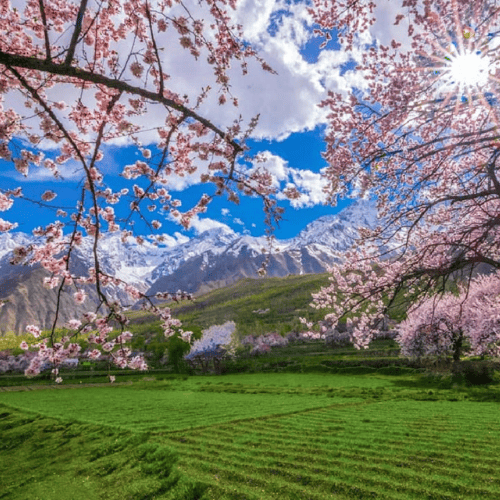 COUPLE TOUR PACKAGES HUNZA