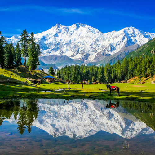 COUPLE TOUR PACKAGES NARAN KAGHAN