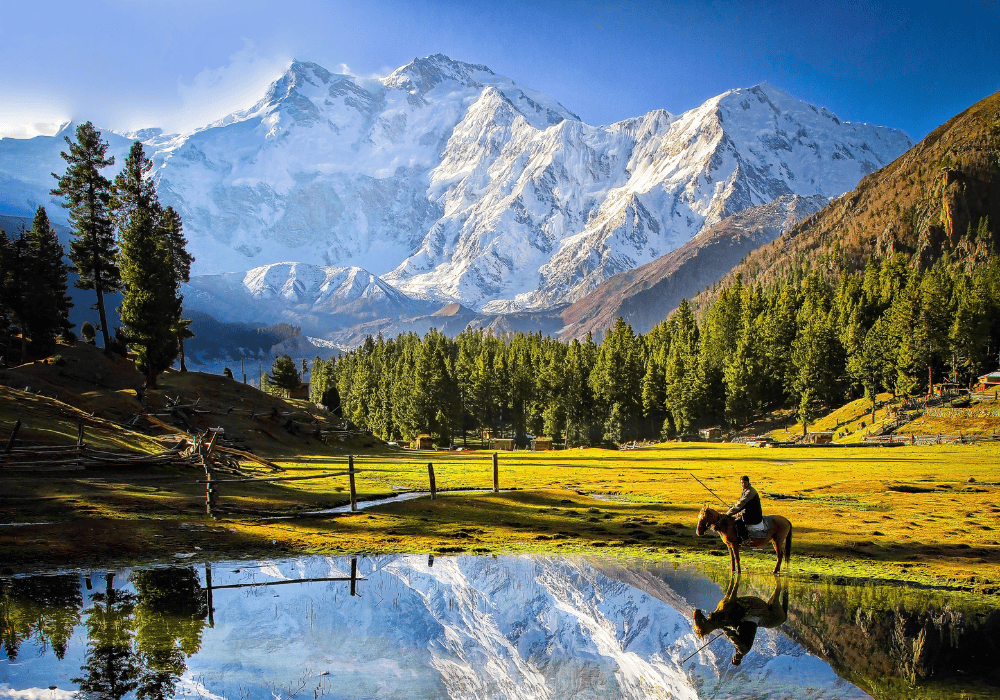 FAIRY MEADOWS TOURS