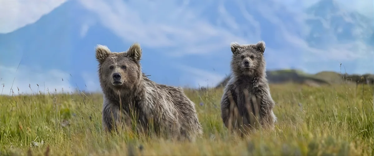 SKARDU TOUR PLANNERS